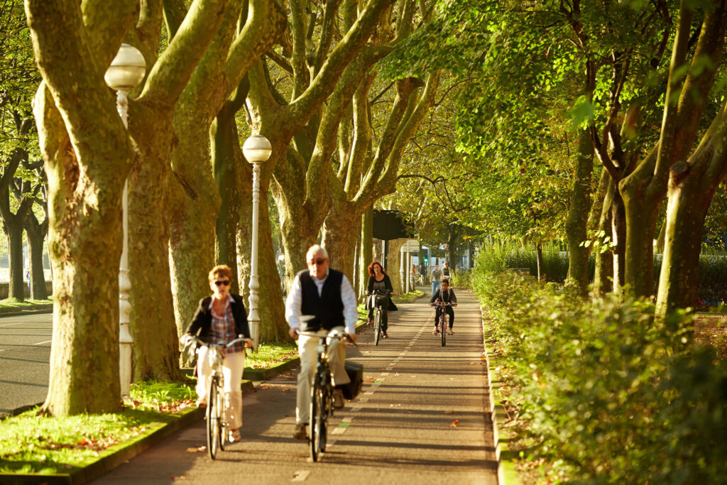 Bike routes San Sebastian 2 24839050694 c891e538f6 k