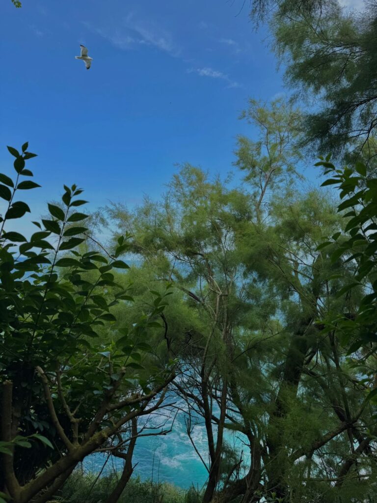 IMG 20250609 WA0021