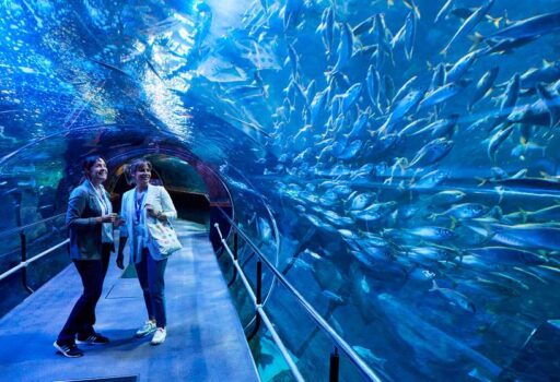 aquarium-donostia